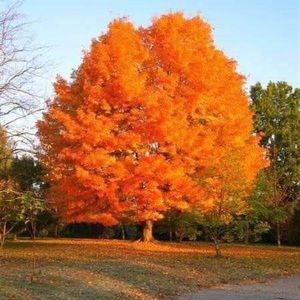 Meet your Posher, Daniela